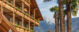 Hotel in Palmen und Bergen Landschaft